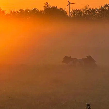 Vibe In Architectural Settings Arre